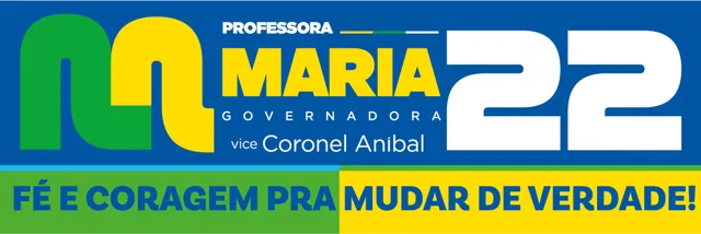 Adesivo de carro da Professora Maria, modelo 3